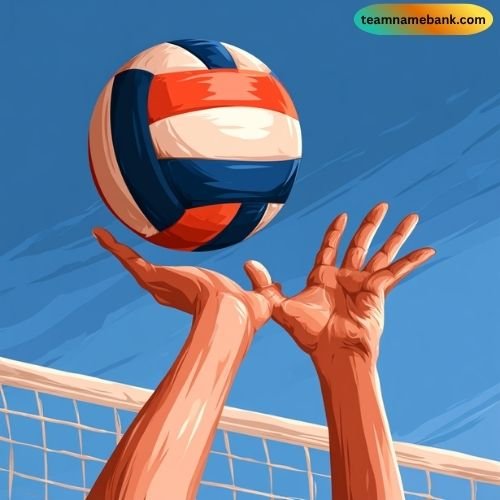 Best One Word Volleyball Team Names