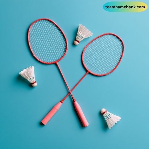 Clever Badminton Team Names