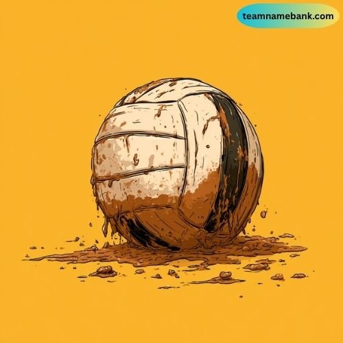 Creative Mud Volleyball Team Names