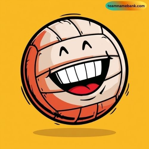 Creative Volleyball Team Names