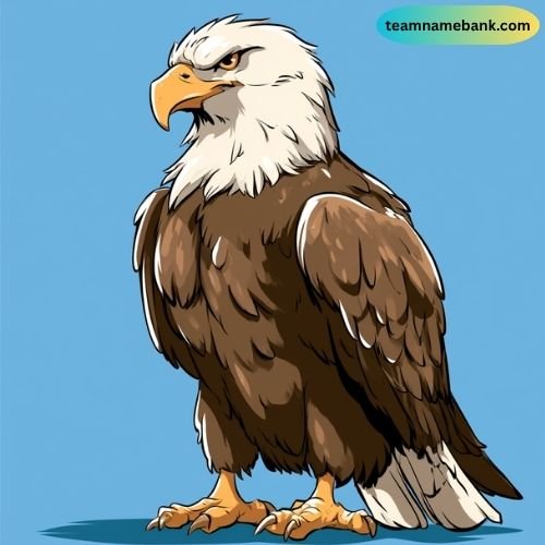 Funny Eagles Team Names