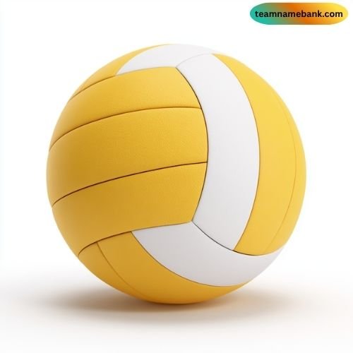 Unique One Word Volleyball Team Names