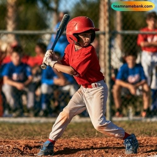 Youth Florida Baseball Team Names