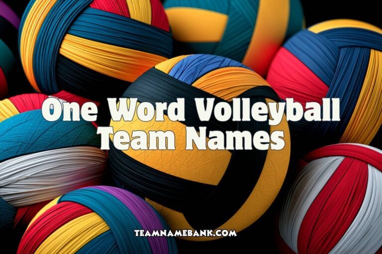 one word volleyball team names