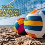 sand volleyball team names